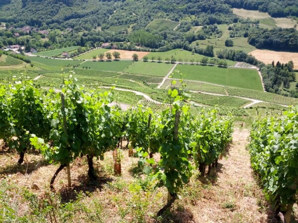 Au Bord De Seille Villa Nevy-Sur-Seille Exteriör bild